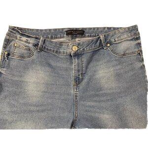 Truth and Theory Jeans Size 22 Womens regular Cotton Stretch distressed comfort